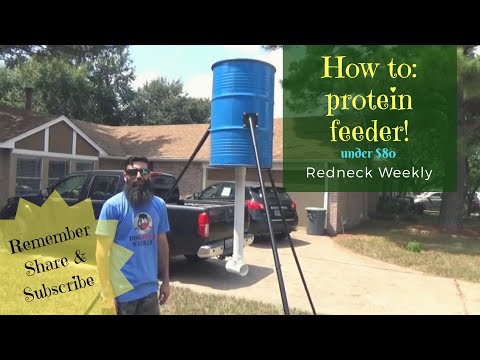 , title : 'how to build a 55 gallon drum protein feeder Cheap!! under $80'
