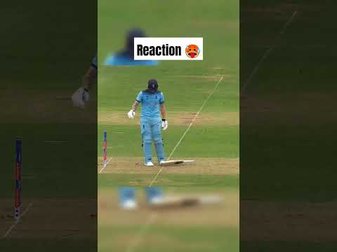 Mitchell Starc best Yorker #starc #chahal #pollard #rohit #virat #benstokes