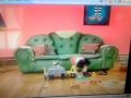 Big Comfy Couch One Potato Two Potato 10 Second Tidy With Echoed Version