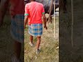 Comedy XXX Videos
