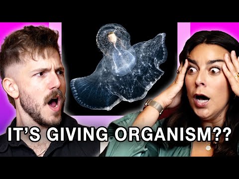 SERVING! with Amanda Lehan-Canto