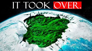 When a Single Plant Froze the Entire Planet (The Azolla Event)