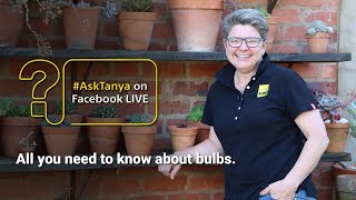 Flowering Bulbs LIVE with Tanya Visser