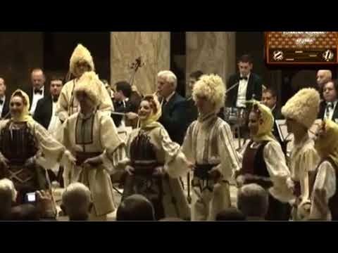 "Homoljanka" ft. Tihomir Paunović (2010)