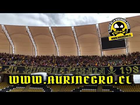"Al Hueso Pirata - Coquimbo Unido v/s la cerena" Barra: Al Hueso Pirata • Club: Coquimbo Unido