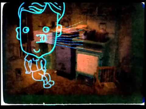 Noam Chomsky on Language Acquisition and Memory Formation