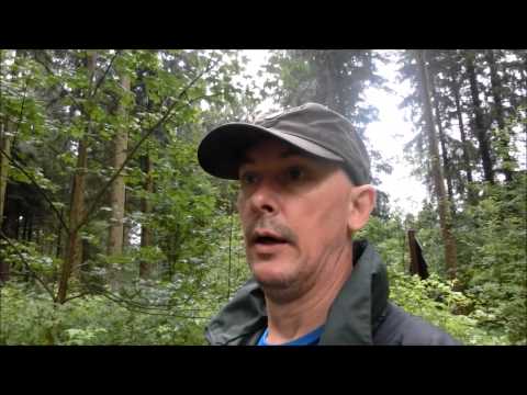 der Harzer Hexen Stieg Teil I