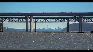 Little Red Light   (Fountains of Wayne)