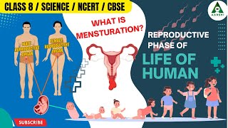 AARSHI l Reproductive Phase of Life in Human l Class 8 l Science l CBSE l KG to PG