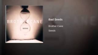 Brother Cane - Bad Seeds