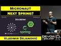 Micronaut, Dragon-Slayer (Spring-boot) or just another framework – Vladimir Dejanović