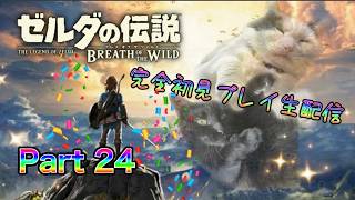 【生配信】ゼルダの伝説 ブレスオブザワイルドやろうぜ！　その24ッ！