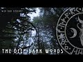 Shannon Pearl Wild Folk Session 10 The Deep Dark Woods