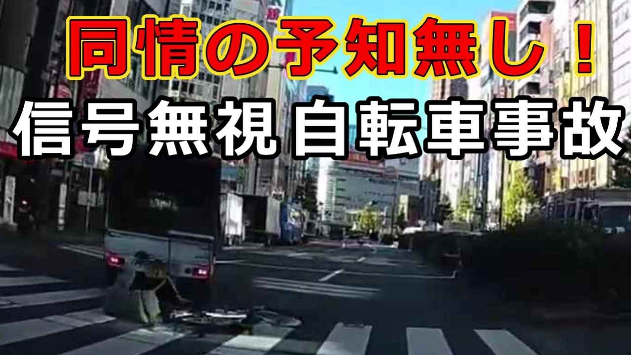 Reckless Drivers No. 2573: No room for sympathy! ...Running a red light, bicycle accident... [Dan...