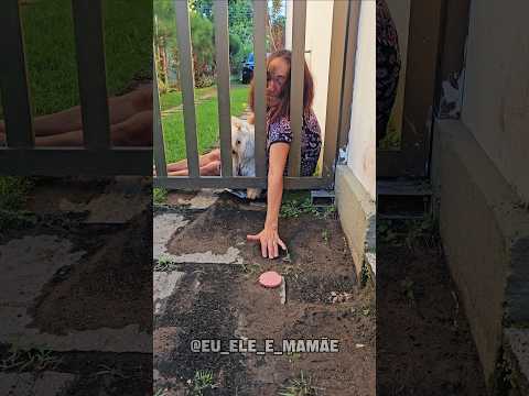 Ela só queria alimentar o Cão😭😭😭