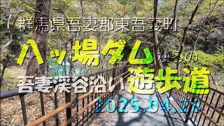 【VLOG】《吾妻渓谷》八ッ場ダムからの遊歩道 群馬県吾妻郡東吾妻町 2025.04.26