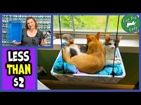 Easy DIY Cat Window Basket/Bed For Less Than $2