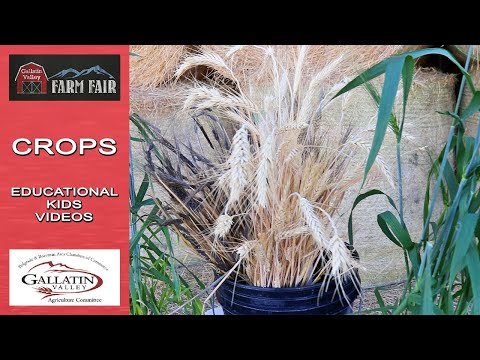 Virtual Tour – Gallatin Valley Farm Fair Virtual Tour – Gallatin Valley Farm Fair