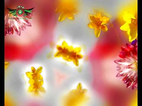 09.  KARAOKE ICH TROJE - POWIEDZ