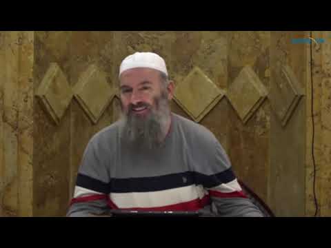 Karikaturat ndaj Pejgamberit, Dashuria ndaj Pejgamberit - Hoxhë Bekir Halimi