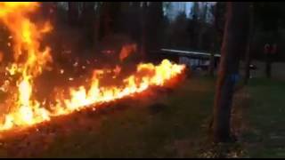 Epic-Supersonic-Redneck-Bonfire-Using-a-Line-of-Leaves
