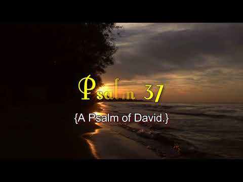 Psalm 37   Don't Fret Because of Evildoers  With words   KJV