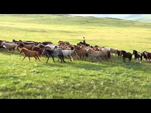 , title : 'Horse herd runs past start camp in Mongolia.'