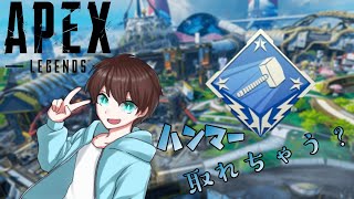 ハンマー取れるの？【APEX】～APEX Legends～