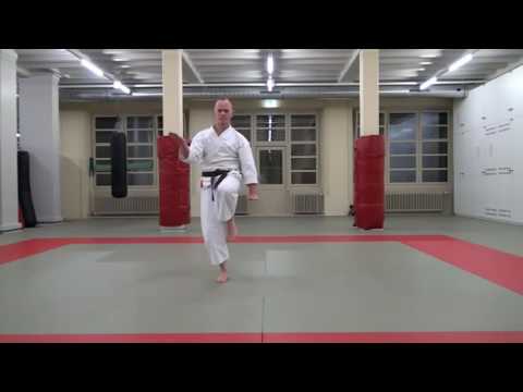 Saifa Kata Goju Ryu Karate