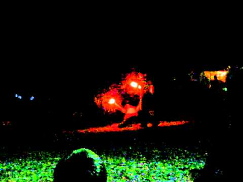 PPF 2011 FIRE AND STEEL!!!