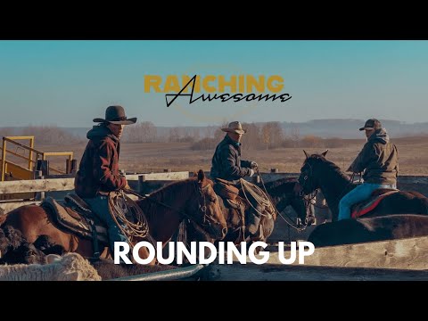 Bringing Cows Home for the Fall || RANCHING AWESOME