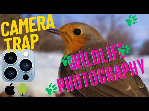 Camera_Shutter