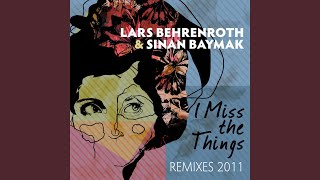 I Miss the Things (Stephen Rigmaiden Remix)