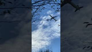 航空科学博物館から見る離陸機｜Take off planes at MUSEUm OF AERONAUTICAL SCIENCES