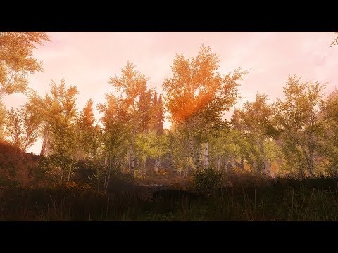Skyrim with Tetrachromatic ENB and 130 Mods
