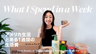 アメリカ生活🇺🇸 1週間のリアルな生活費と購入品を紹介 | 駐在妻 | 夫婦子なし | 海外赴任準備 | What I Spend in a Week