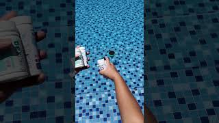 This Is the Pool Assistant I Needed