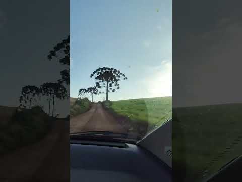 Cenário na comunidade de Cambucica, interior de Turvo PR.