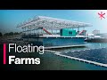 Floating Farm Takes Sustainable Agriculture to the Next Level