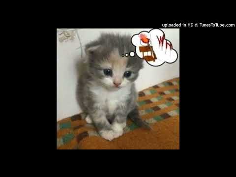 [free] twikipedia + dollywood type beat (prod breakupbreakdown)