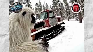 A ver si arranca... Arrancó de una!!