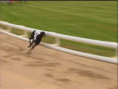 2017 BETFRED SELECT STAYERS - T3 RUSSELENA REGGIE