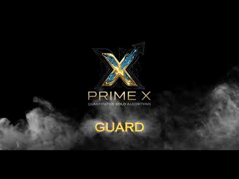 Video Prime Guard X