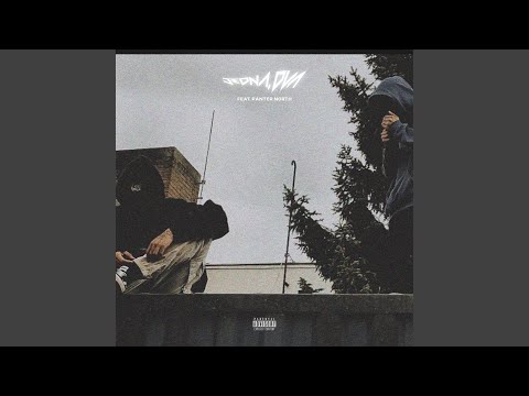 JEDNA, DVA (feat. Panter North)