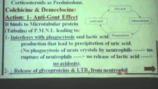 34) Dr. Mohsen Samy 16/3/2016 [ Paracetamol - Gout ]