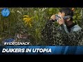 Wow! Jessie en Gerrit duiken onder | UTOPIA