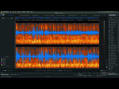 iZotope RX 10 100: RX 10's Cool New Features - Introduction