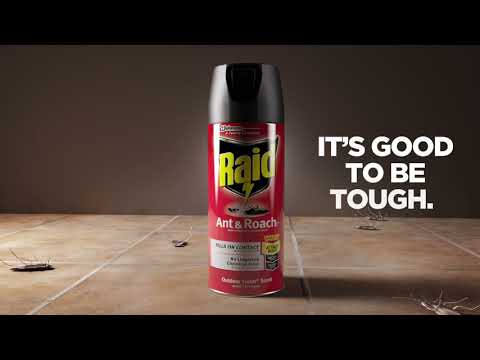 Raid Ant and Roach Client Commercial 2021 (3D Product Animation)