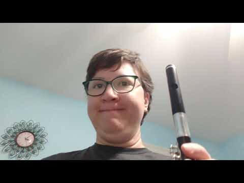 Gemeinhardt 4W Wood Piccolo For Sale on eBay