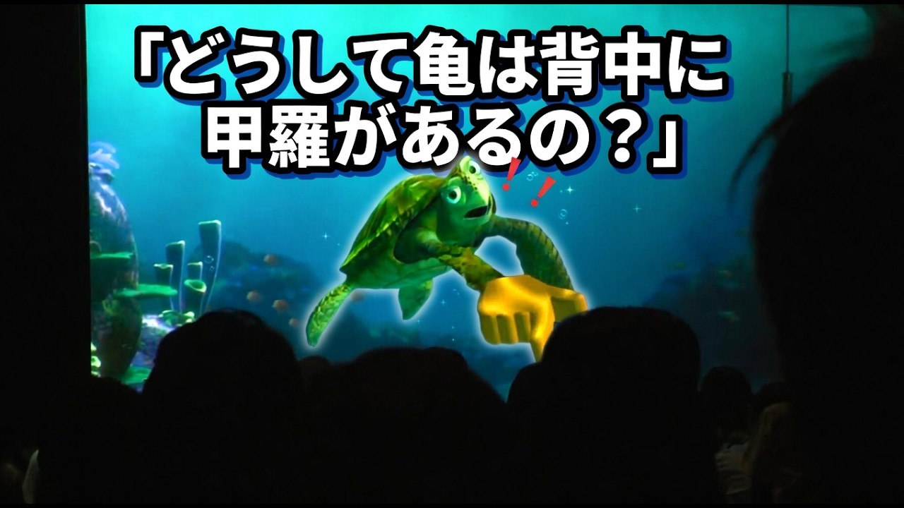 どうして亀は背中に甲羅があるの？【タートルトーク】東京ディズニーシー